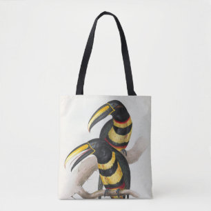 Eine Familie von Tukane von John Gould Tasche