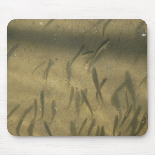 eine fantasievolle Geschichte Mousepad (Vorne)