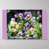 EINE FARBE POSTER (Vorne)