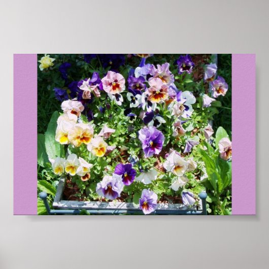 EINE FARBE POSTER (Vorne)