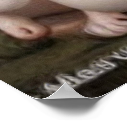 Eine farbenfrohe Gruppe von niedlichen Tieren und Poster (Ecke)