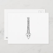 EINE FARBSPANNE POSTKARTE (Vorne/Hinten)