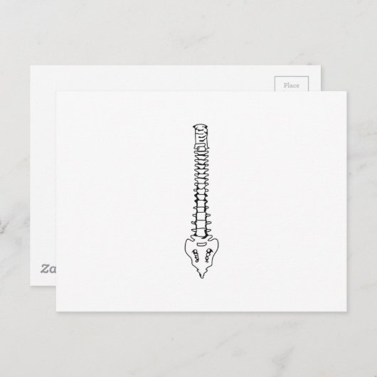 EINE FARBSPANNE POSTKARTE (Vorne/Hinten)