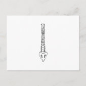 EINE FARBSPANNE POSTKARTE (Vorderseite)