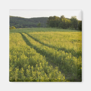 Eine Farmstraße in Sabins Pasture in Montpelier, Magnet