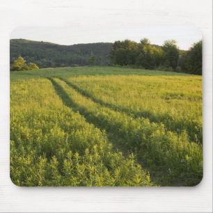 Eine Farmstraße in Sabins Weide in Montpelier, Mousepad