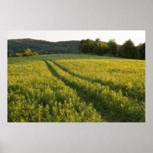 Eine Farmstraße in Sabins Weide in Montpelier, Poster