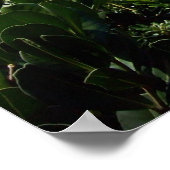 Eine felsige Bermuda Cove Poster (Ecke)