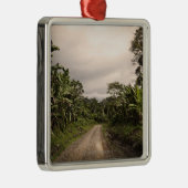 Eine Ferndschungelstraße Silbernes Ornament (Rechts)