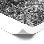 Eine Flasche fütternd eine Antilope. Poster (Ecke)