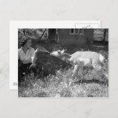 Eine Flasche fütternd eine Antilope. Postkarte (Vorne/Hinten)