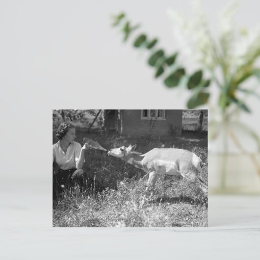 Eine Flasche fütternd eine Antilope. Postkarte (Stehend Vorderseite)