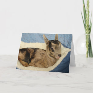 Eine Flasche Ziege namens Aussie Karte