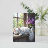 Eine flauschige, weiße Katzenklatsche auf der Fens Postkarte (Stehend Vorderseite)