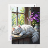 Eine flauschige, weiße Katzenklatsche auf der Fens Postkarte (Vorne/Hinten)