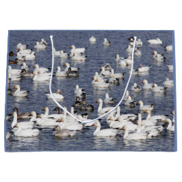 Eine Flock von Schneegänsen am Strand Große Geschenktüte