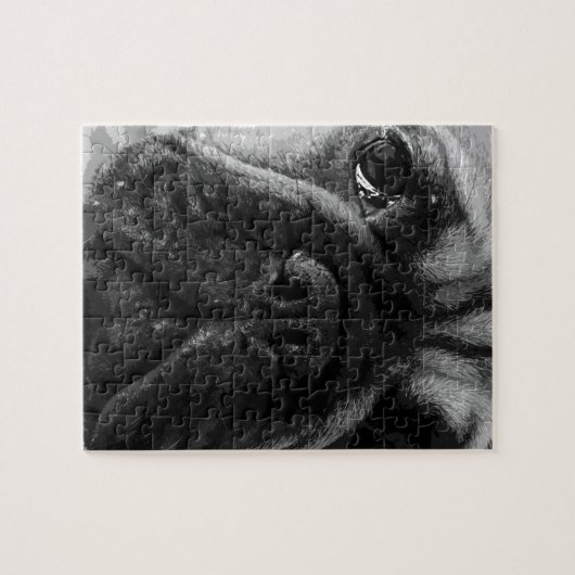 Eine französische Schwarzweiss-Bulldogge Puzzle (Horizontal)