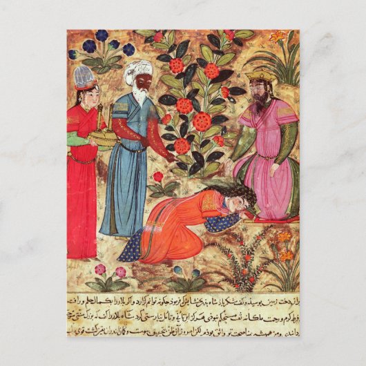 Eine Frau, die den Sultan beseelt Postkarte (Vorderseite)