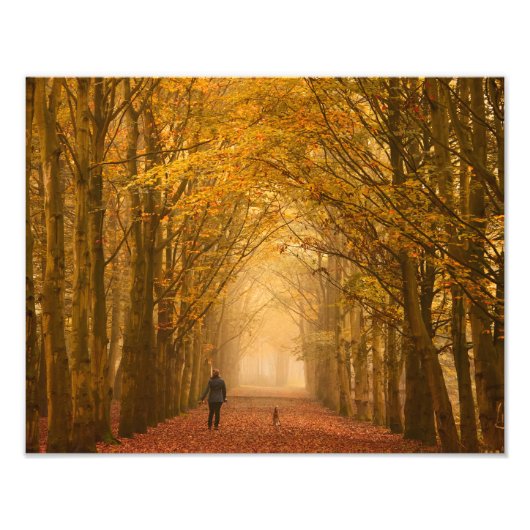 Eine Frau, die mit Hund auf dem Herbstmorgendliche Fotodruck (Vorne)