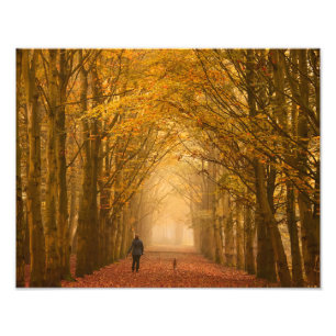 Eine Frau, die mit Hund auf einem Fallmorgen-Foto Fotodruck
