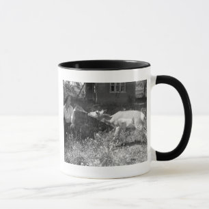 Eine Frau füttert eine Antilope mit der Flasche. Tasse