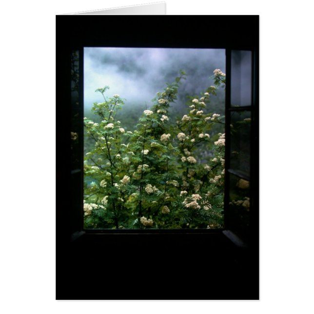 EINE FRAU IN DER LIEBE (Vorne)