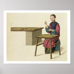 Eine Frau Tee zubereiten, Teller 21 von 'The Costu Poster