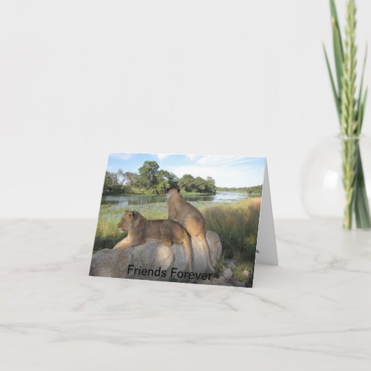 Eine Freundschaftskarte Karte (Vorderseite)