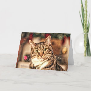Eine fröhliche kleine WeihnachtsMiezekatze-Karte Feiertagskarte