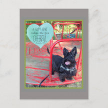 Eine fröhliche Lächelpostkarte