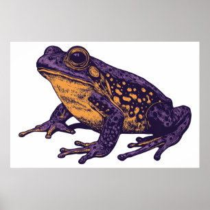Eine Froschabbildung - groß Poster