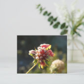 Eine frostige Blume Postkarte (Stehend Vorderseite)