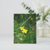 Eine Frühlingswiese in New England Postkarte (Stehend Vorderseite)