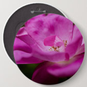 Eine fuchsianische Rose Blume Button (Vorne & Hinten)