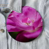 Eine fuchsianische Rose Blume Button (Beispiel)