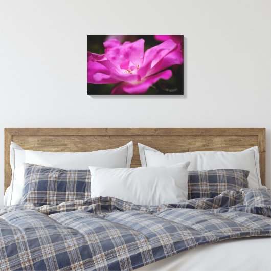 Eine fuchsianische Rose Leinwanddruck (Insitu (Schlafzimmer))