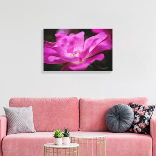 Eine fuchsianische Rose Leinwanddruck (Insitu (Wohnzimmer))