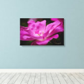 Eine fuchsianische Rose Leinwanddruck (Insitu (Holzboden))