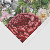 Eine Fülle von Botanischen Schmetterlingsbildern Seidenpapier (Ausschnitt)