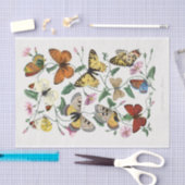 Eine Fülle von Schmetterlingen inmitten rosa Blume Seidenpapier (Handwerk)