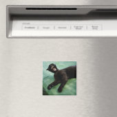 Eine gähnende Katze. Magnet (In Situ (Geschirrspüler))