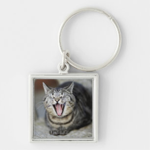 Eine gähnende Katze, Schweden Schlüsselanhänger