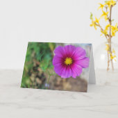 Eine Galaxie in einer Blume Karte (Gelbe Blume)