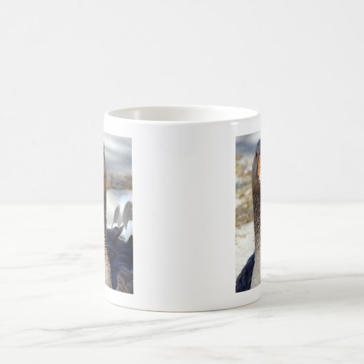 Eine Gans im Park Kaffeetasse (Mittel)