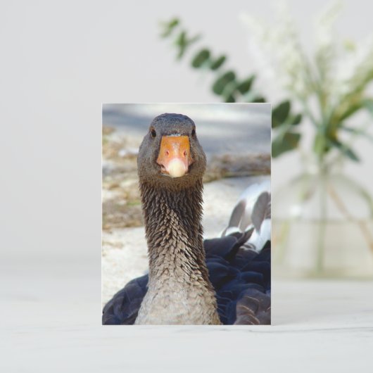 Eine Gans im Park Postkarte (Stehend Vorderseite)