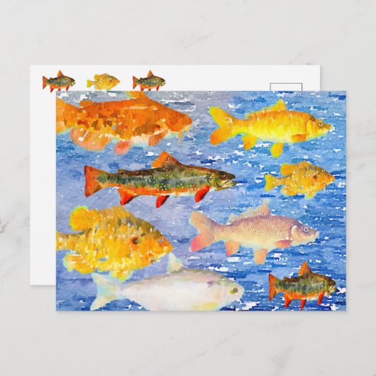 Eine ganze Menge Fisch im Meer Postkarte (Vorne/Hinten)