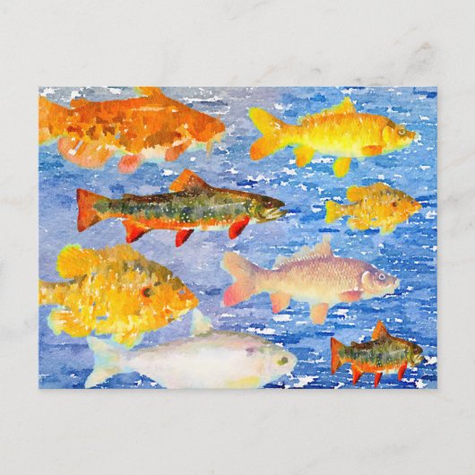 Eine ganze Menge Fisch im Meer Postkarte (Vorderseite)