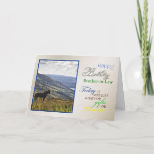 Eine Geburtstagskarte für den Schwager. Karte