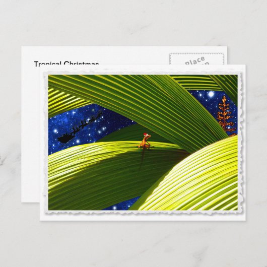 Eine Gecko Lizard's tropische Weihnachten (Vorne/Hinten)