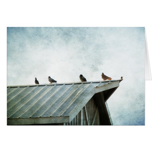 Eine gehört nicht (Vorderseite (Horizontal))